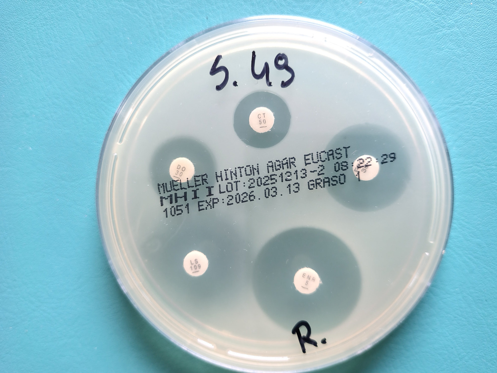 Antybiogram